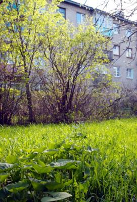 улица Калинина, двор дома №31